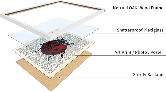 Poster Master Dictionary Art Poster - Retro Ladybug Print - Insect Art - Red Bug Art - Gift for Men, Women & Animal Lover - Minimal Decor for Living Room & Kid's Room, 16x20 White Framed