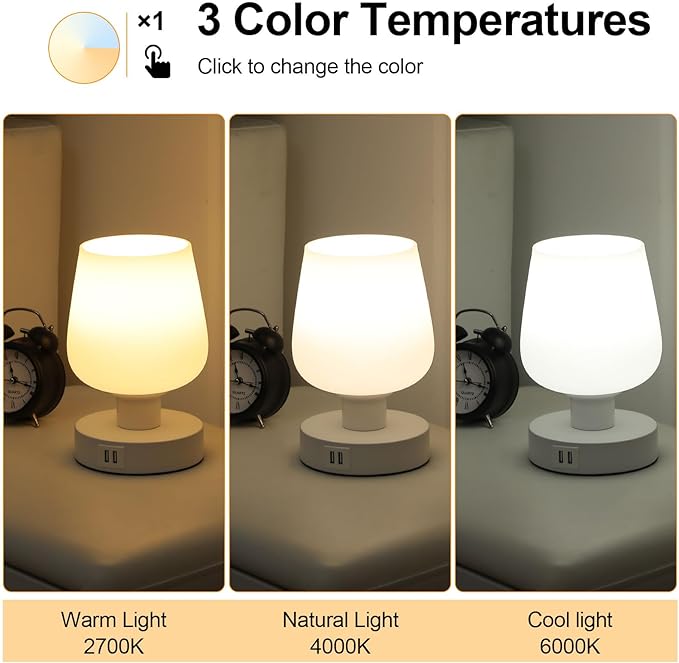 Touch Bedside Table Lamp with 2 USB Ports, Dimmable Small Table Lamp for Bedroom & Living Room with White Opal Glass Lamp Shade & LED Bulb, Modern Nightstand & Desk Lamp