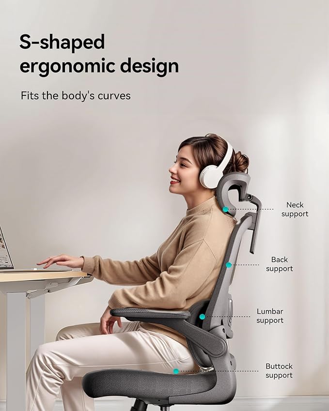 Hbada P1 Ergonomic Office Chair, Desk Chair with Adjustable Lumbar Support, Home Office Desk Chair with 2D Headrest, Flip-up Armrest, Swivel Computer Chair, Black