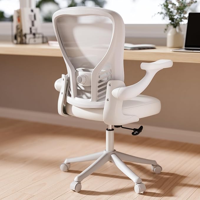 GYI Computer Desk Chair, Ergonomic Office Desk Chairs with Mesh Back, Adjustable Lumbar Support, Height, 3D Flip-up Arms, Wheels, Rocking Function (All White)