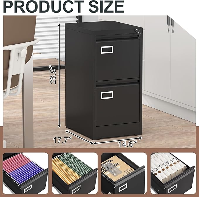 LUCYPAL 2 Drawer File Cabinet with Lock,Metal Filing Cabinets for Home Office,Under Desk Locking Storage Cabinet for Letter/Legal/A4 Files,Assembly Required(Black)