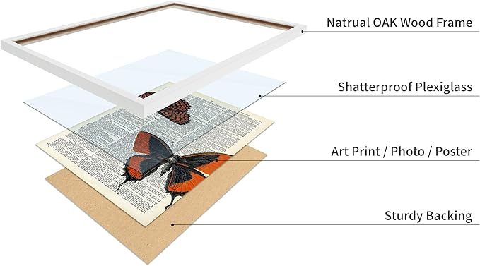 Poster Master Dictionary Art Poster - Butterflies Print - Moth Art - Butterfly Art - Insect Art - Gift for Men, Women & Animal Lover - Chic Decor for Living Room or Bedroom, 8x10 White Framed