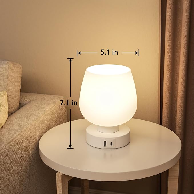 Touch Table Lamp for Nightstand Set of 2 - Bedside Lamp with USB C+A Charging Ports for Bedroom Living Room Night Stands, Desk Lamp with White Glass Shade for Small Spaces, 3 Way Dimmable