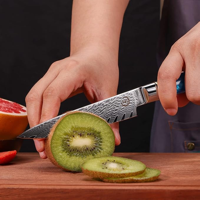 5 Inch Kitchen Utility Knife, Damascus Paring Knives,Japanese VG10 Steel Damascus Fruit Knife-Ergonomic Blue Resin Handle Ideal Birthday Gift for Men and Women