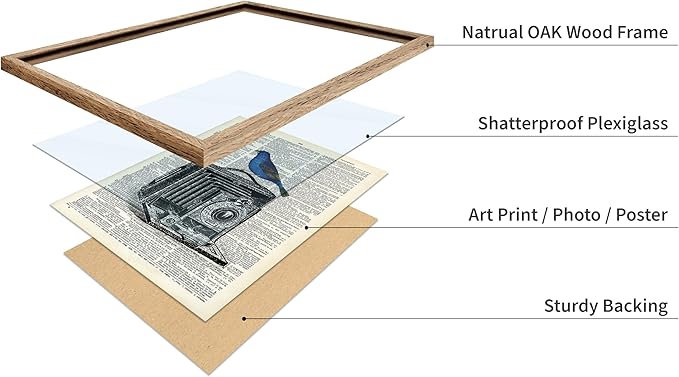 Poster Master Dictionary Art Poster - Antique Camera Print - Bird Art - Photography Art - Gift for Men, Women & Photographer - Chic Decor for Living Room, Bedroom or Office, 11x14 Beige Framed