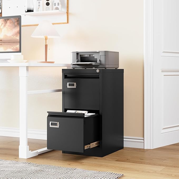 2 Drawer File Cabinet with Lock,Vertical Filing Cabinet for Home Office,Metal File Cabinets with Lock,Storage Files for A4/ Legal/Letter, Require Assembly, (Black)