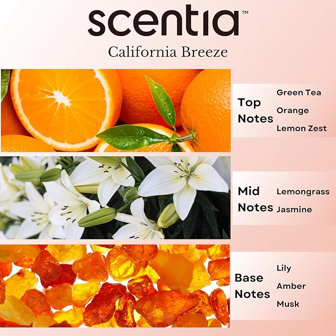 Hotel Diffuser Oil Inspired by The Delano Beach Club Hotel Scent - 20 mL 0.67 fl oz - Essential Oil Blend Orange, Green Tea & Jasmine for Aromatherapy Diffusers - California Breeze
