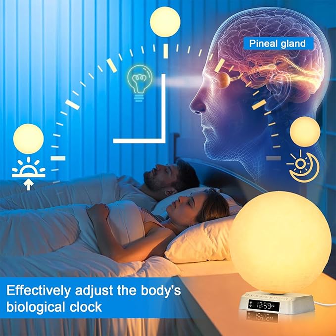 Moon Clock Light Alarm Clock Wake up Lamp Cute Aesthetic Alarm Clock Nightstand lamp UV-Free LED Sunrise lamp for bedrooms Built-in White Noise APP Control Bioclock Adjustment