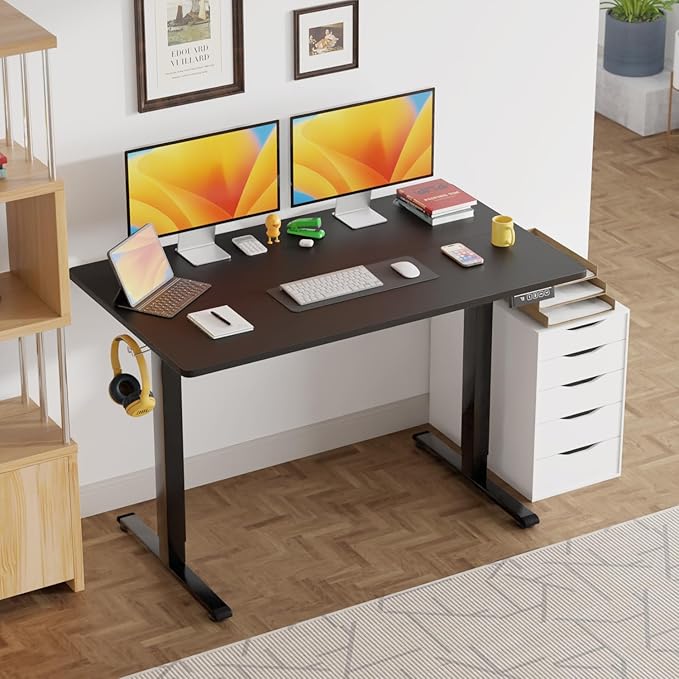 PayLessHere 48 Inch Electric Standing Desk Computer with Large Space and Headphone Holder Office Lifting 2 Memory Function for Bedroom Meeting Room,Black
