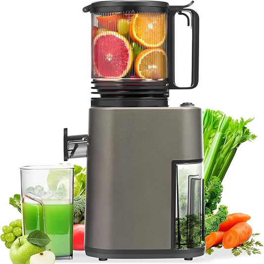 Masticating Juicer with 250W DC Motor, 5.4" Wide Feed Chute, Slow Cold Press Juice Extractor for Whole Fruits & Vegetables, High Juice Yield (DC-Gray)