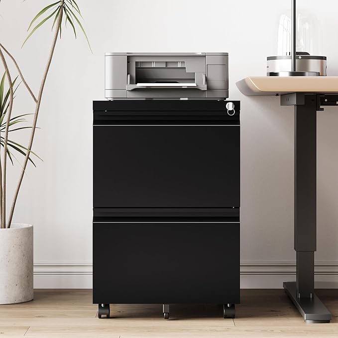 2 Drawer File Cabinet，Mobile Filing Cabinet with Lock and Wheels，Fully Assembled Metal Under Desk File Cabinets for A4/Letter/Legal Size（Black