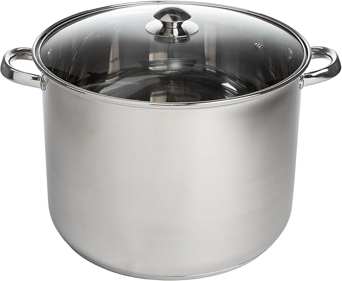 Ecolution Stainless Steel Stock Pot, Encapsulated Induction Ready Cooking Pot with Glass Lid, Oven Safe, Dishwasher Safe Soup Pot, 20-Quart