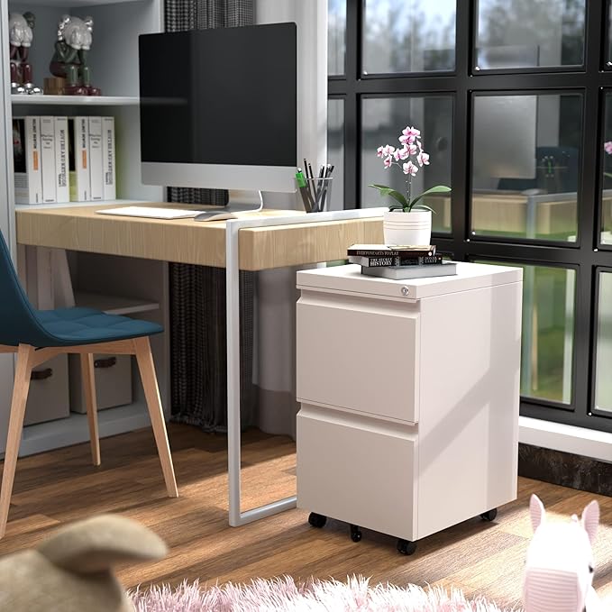 Aobabo 2 Drawer File Cabinet with Lock,Metal Filing Cabinet with Wheels for Home Office & Business Enterprise, Legal/Letter Size, Fully Assembled Except Wheels, White