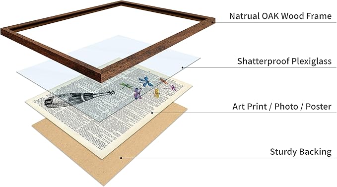 Poster Master Dictionary Art Poster - Champagne Bottle Print - Dragonfly Art - Alcohol Art - Gift for Men, Women & Bartender - Great Decor for Bar, Kitchen or Restaurant, 11x14 Brown Framed