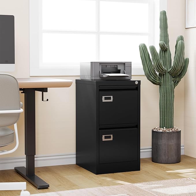 2 Drawer File Cabinet with Lock,Vertical Filing Cabinet for Home Office,Metal File Cabinets with Lock,Storage Files for A4/ Legal/Letter, Require Assembly, (Black)