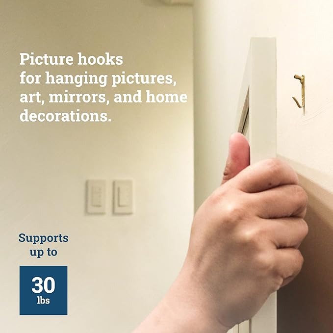 PHS - Professional Plaster Wall Picture Hangers 30 lbs - 25 Pack - Heavy Duty Picture Hooks for Drywall - Frame Hanging Hardware - Art Hooks for Wall - Secure Picture Hanging Kit
