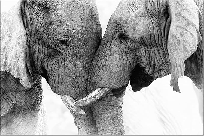 DZL Art D73081 Black and White Elephants Entwine Wall Art Canvas Painting Ready to Hang for Living Room Bedroom Office Wall Decor Home Decoration