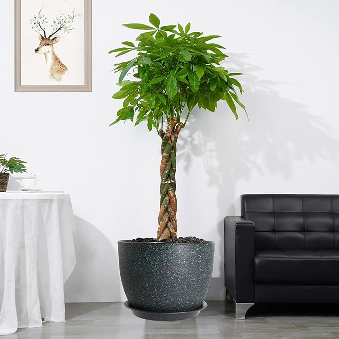 12inch Large Plant Pot, Modern Plastic Planter with High Driange Holes and Saucer for Indoor Outdoor Garden Plants and Flowers, Black with Green Speckles