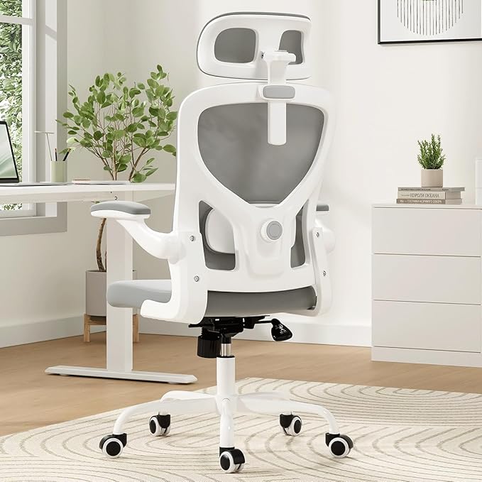 Soohow Ergonomic Office Chair,Home Office Desk Chair with Adjustable Lumbar Support Armrests,Comfy Computer Desk Chair with Headrest,for Home and Office, Gray