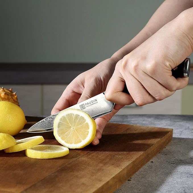 PAUDIN Utility Knife, Damascus Kitchen Knife, 67-Layer Forged Blade, Ultra Sharp Edge, Full Tang G10 Handle with Triple Rivets, 5'' Paring Knife for Cutting Fruit and Vegetables