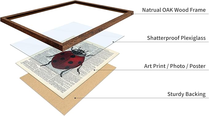 Poster Master Dictionary Art Poster - Retro Ladybug Print - Insect Art - Red Bug Art - Gift for Men, Women & Animal Lover - Minimal Decor for Living Room & Kid's Room, 16x20 Brown Framed