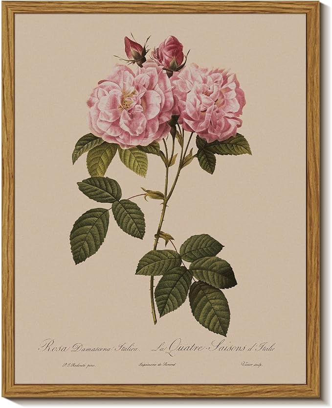 InSimSea Framed Wall Art for Living Room Vintage Rose Flower Paingtings Pictures Wall Decor Aesthetic Floral Art Canvas Print Farm Still Life Artwork Home Decor for Bathrrom Bedroom Shelf Décor 8x10In