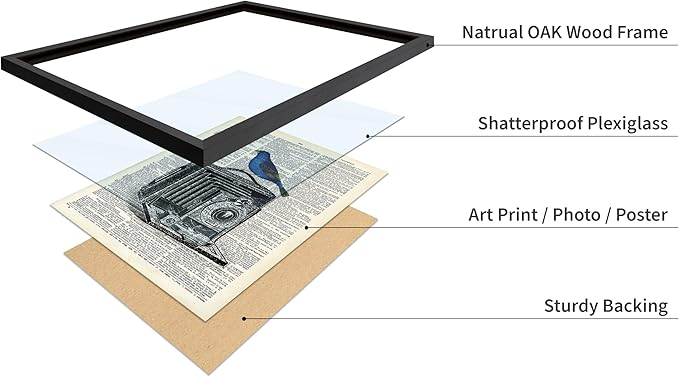 Poster Master Dictionary Art Poster - Antique Camera Print - Bird Art - Photography Art - Gift for Men, Women & Photographer - Chic Decor for Living Room, Bedroom or Office, 16x20 Black Framed