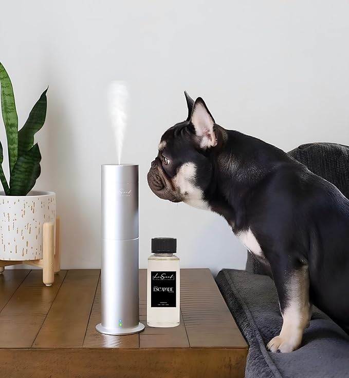 Aroma Scent Diffuser Starter Kit for Up to 1000SQ. FT. Coverage - 120ML Waterless Essential Oil Scent Included - Luxury Aroma Diffuser Ideal for Home, Office & Hotel (Silver, Escapade)