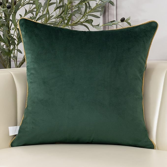 Aeckself European Luxury Velvet Throw Pillow Cover 18 x 18 Inch, Embroidery Floral Pillow Cover Home Decor Pillowcase for Couch Bedroom Living Room, Dark Emerald Green and Gold