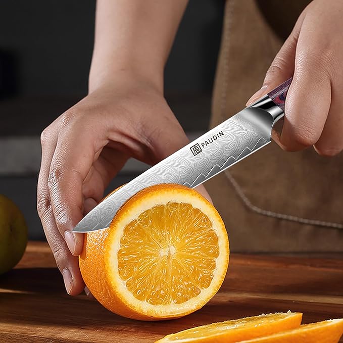 PAUDIN Kitchen Utility Knife 5 Inch, Damascus Chef Knife Japanese Kitchen Knife VG10 High Carbon Stainless Steel