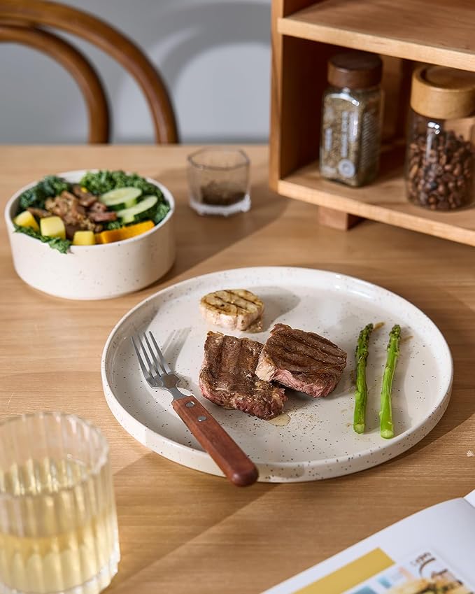 Famiware Nebula Plates and Bowls Sets, 12 Pieces Dinnerware Sets, Dishes Set for 4, Creamy White with Colorful Speckles