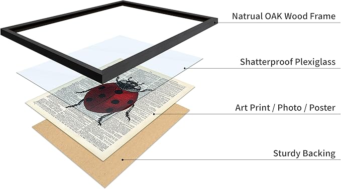Poster Master Dictionary Art Poster - Retro Ladybug Print - Insect Art - Red Bug Art - Gift for Men, Women & Animal Lover - Minimal Decor for Living Room & Kid's Room, 8x10 Black Framed