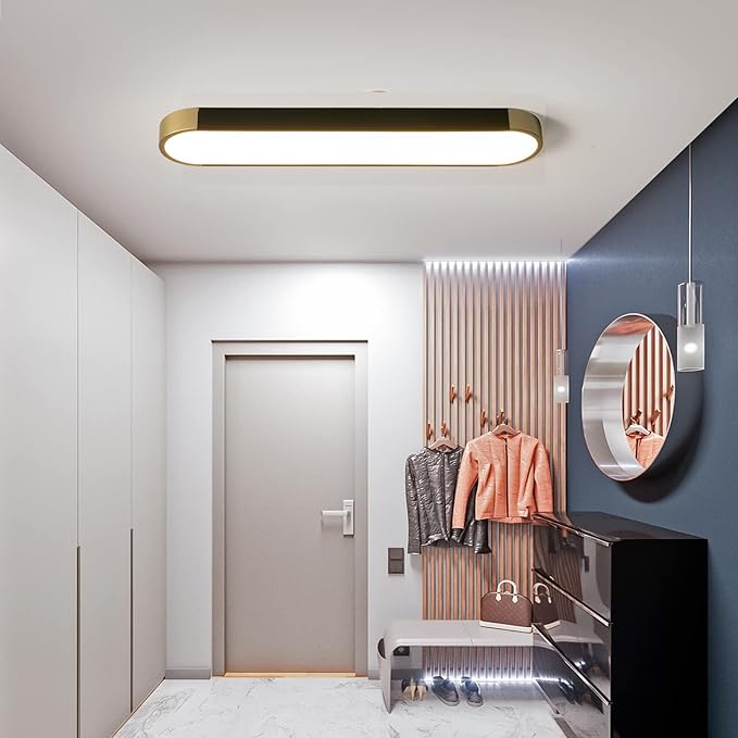 Tioolo Modern Ceiling Light, Acrylic Linear Ceiling Lamp, Dimmable LED Ceiling Light Fixture with Remote Control, Kitchen Dining Living Room Cloakroom Hallway Lighting (36W/27.5in L)