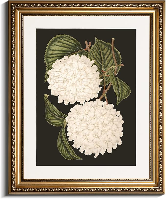 VIYYIEA Gold Framed Wall Art Canvas Print Home Decor White Hydrangea Oil Painting Canvas Prints Room Aesthetic Flower Prints Decoration Bedroom Bathroom Wall Decor Kitchen Office 13x16in