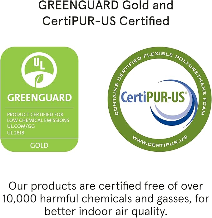 Tuft & Needle T&N Original Foam 2 Pack King Pillow, White 2 Count