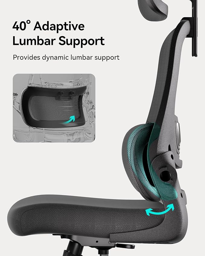 Hbada P1 Ergonomic Office Chair, Desk Chair with Adjustable Lumbar Support, Home Office Desk Chair with 2D Headrest, Flip-up Armrest, Swivel Computer Chair, Black