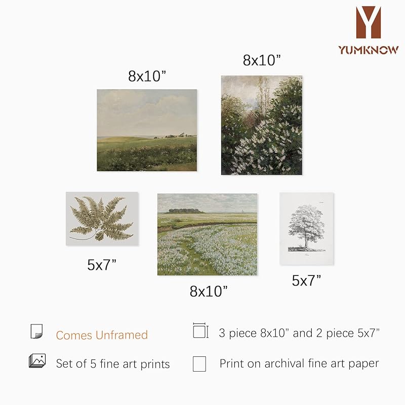 Vintage Farmhouse Wall Decor - Nature Plant Neutral Wall Art for Boho French Country Kitchen Bathroom Bedroom Picture Poster Print, Sage Green Room Decor Aesthetic Botanical Cottagecore 5 Set Unframed