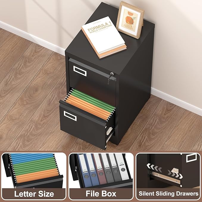 LUCYPAL 2 Drawer File Cabinet with Lock,Metal Filing Cabinets for Home Office,Under Desk Locking Storage Cabinet for Letter/Legal/A4 Files,Assembly Required(Black)