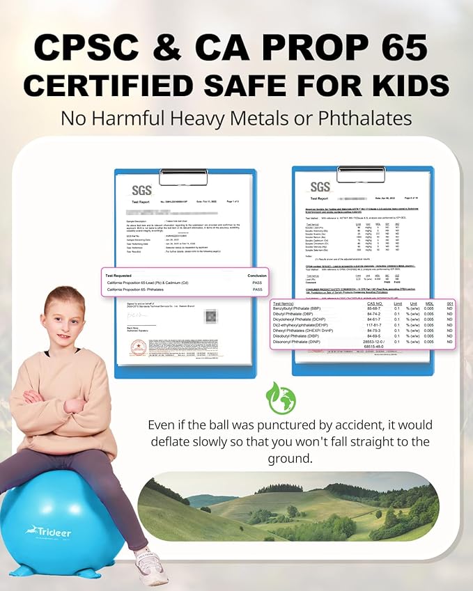 Trideer Flexible Seating for Classroom Elementary, Yoga Ball Chairs for Kids, Wobble Chair of School Supplies for Sensory Kids, Student Desk Chairs for Homeschool (Blue, 55cm)