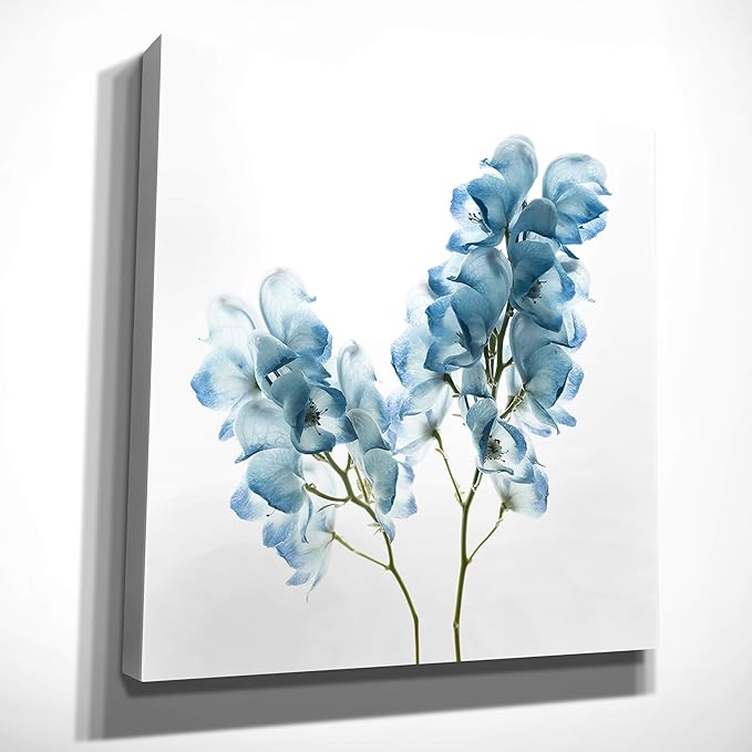 Wexford Home Gorgeous Blue II Art Print, Multicolor