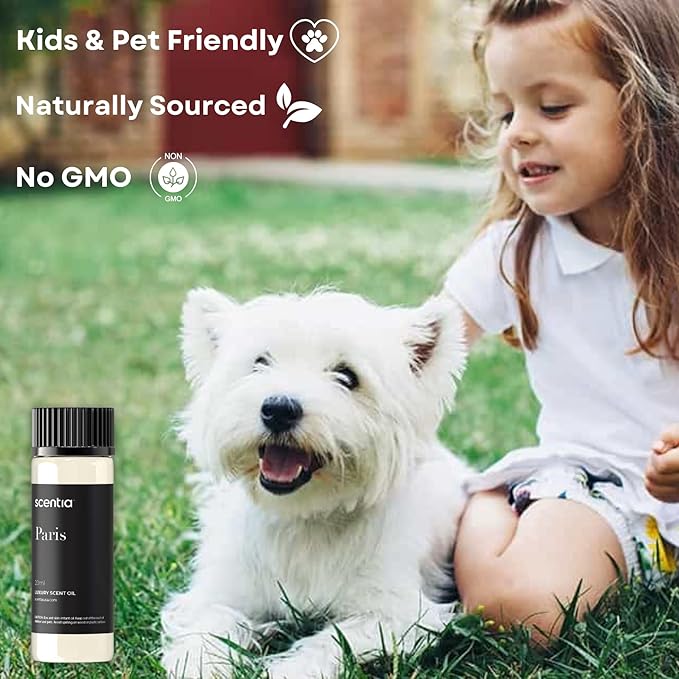 Hotel Diffuser Oil Inspired by The Hotel Costes Paris - 20 mL 0.67 fl oz - Fragrance Oil Blend Rose,Clove &Sandalwood for Aromatherapy Diffuser & Humidifiers.-Paris