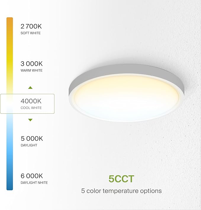 ASD LED 12" Round Flush Mount Ceiling Light Fixture, Low Profile Surface Lighting | 5CCT, Dimmable, Ultra-Thin, ETL Listed | 24W 2000LM 2700-6000K 100-277V | Kitchen, Hallway Lamp | White, 12 Pack