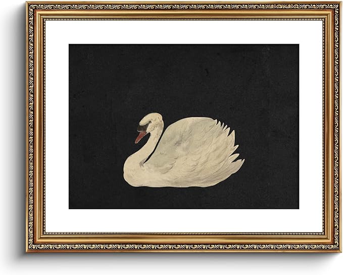 VIYYIEA Gold Framed Wall Art Canvas Print Home Decor Wall Decorations Grace Swan Art Painting Pictures Rustic Bathroom Wall Decor Farmhouse Wall Decor for Living Room Bedroom Office Decor 16x20in