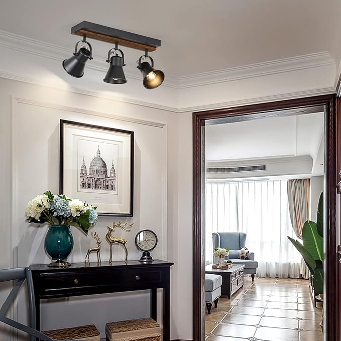 SEEBLEN 3-Light Kitchen Light Fixtures, Adjustable Ceiling/Wall Mount Spotlight, Industrial Black Track Lighting for Living Room, Dining Room, Hallway, Bathroom