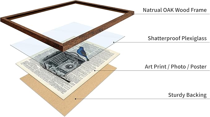 Poster Master Dictionary Art Poster - Antique Camera Print - Bird Art - Photography Art - Gift for Men, Women & Photographer - Chic Decor for Living Room, Bedroom or Office, 8x10 Brown Framed