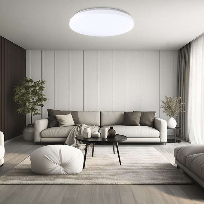 Hamilyeah 20 inch Ceiling Light Flush Mount 48W, Dimmable LED Ceiling Light Fixture, Simple Close to Ceiling Light 5CCT for Living Room, Dining Room, Bedroom, Hotel, Office