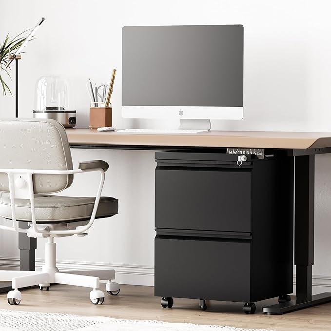 2 Drawer File Cabinet，Mobile Filing Cabinet with Lock and Wheels，Fully Assembled Metal Under Desk File Cabinets for A4/Letter/Legal Size（Black