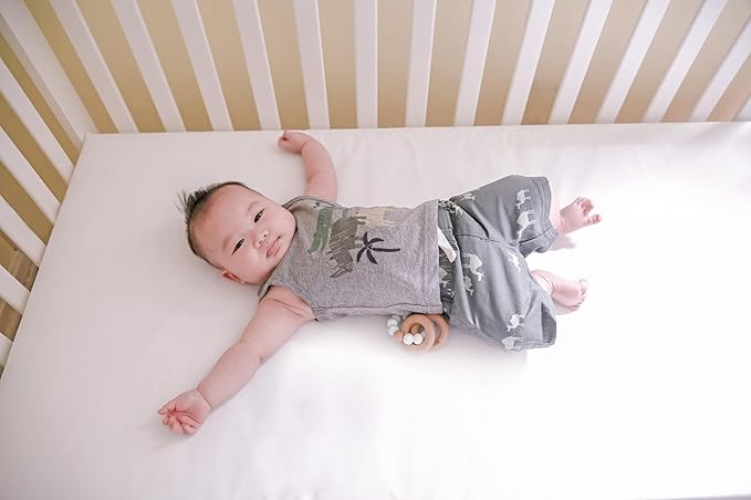 Lullaby Earth Baby Crib Mattress - Lightweight 2-Stage Infant & Toddler Bed - Waterproof, Non-Toxic, Standard Size 52" x 28"