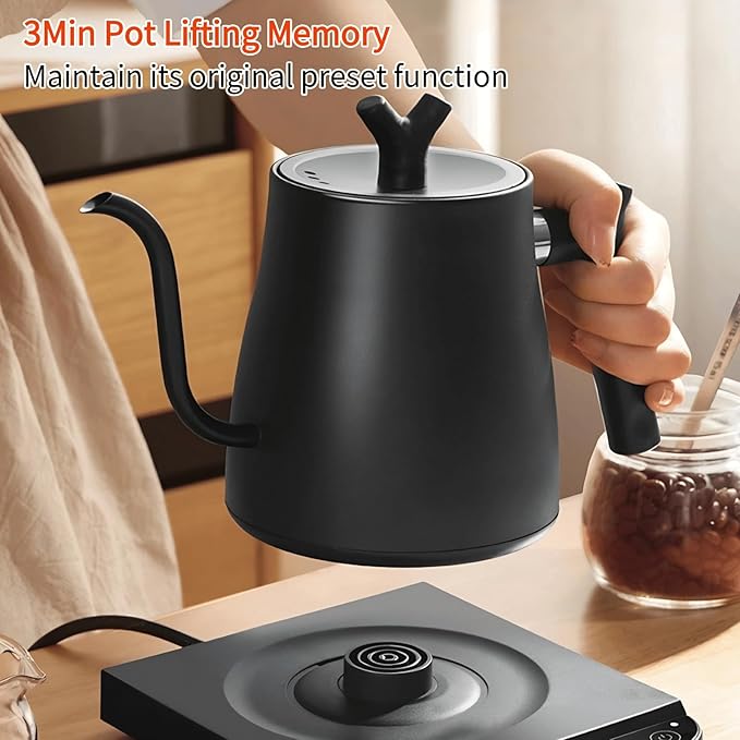 Gooseneck Electric Kettle Temperature Control & Keep Warm, 7 TEMP Control Electric Kettles for Boiling Water,Quickly Heating Kettle Electric Stainless Steel for Coffee & Tea, 800W/1L