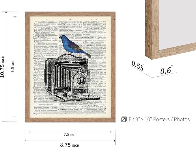 Poster Master Dictionary Art Poster - Antique Camera Print - Bird Art - Photography Art - Gift for Men, Women & Photographer - Chic Decor for Living Room, Bedroom or Office, 8x10 Beige Framed